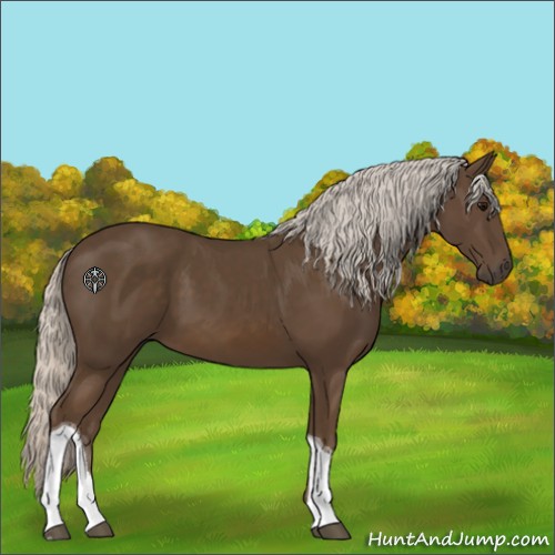 Horse Color:Silver Smoky Black Sabino Tobiano 
