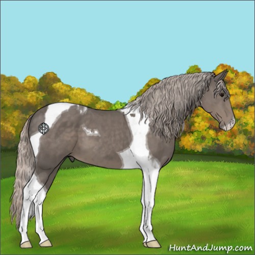 Horse Color:Silver Black Tobiano 