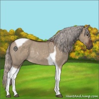 Horse Color:Silver Brown Dun Tobiano Rabicano