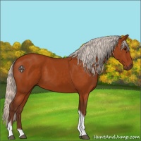 Horse Color:Silver Buckskin Tobiano