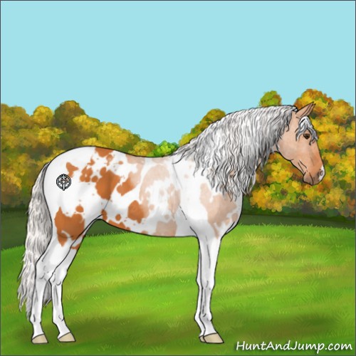 Horse Color:White Spotted Silver Buckskin Tobiano 