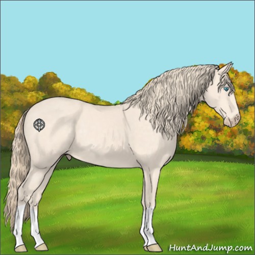 Horse Color:Perlino 