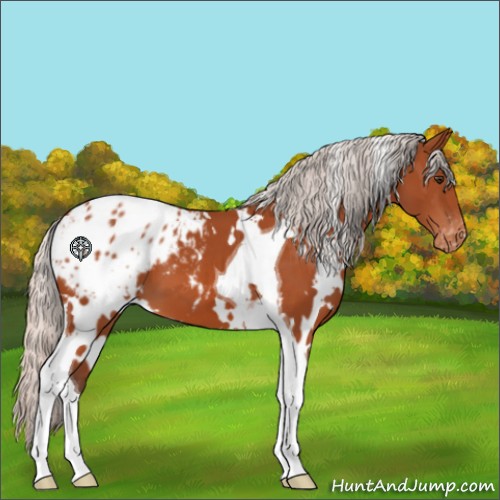 Horse Color:White Spotted Silver Brown Tobiano Appaloosa 