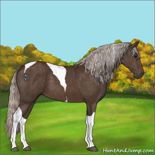 Horse Color:Silver Brown Tobiano 