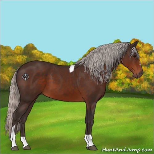 Horse Color:Silver Brown Sabino Tobiano 