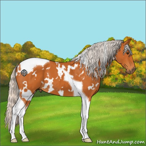 Horse Color:White Spotted Silver Buckskin Tobiano 