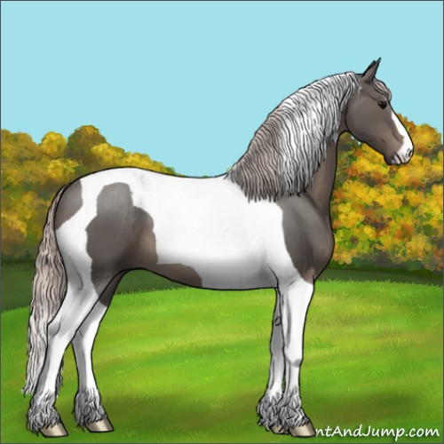 Horse Color:Silver Black Tobiano