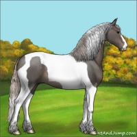 Horse Color:Silver Black Tobiano 