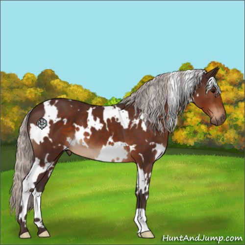 Horse Color:White Spotted Silver Brown 