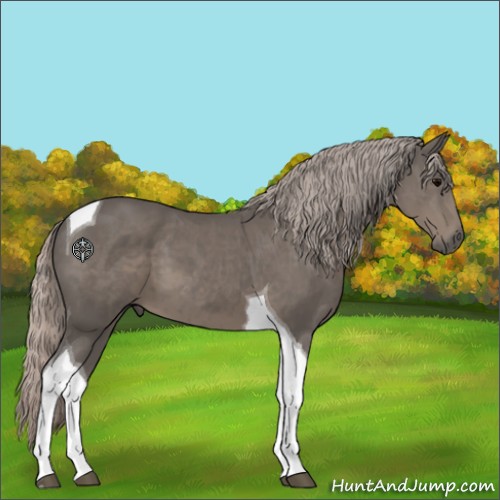 Horse Color:Silver Black Tobiano 
