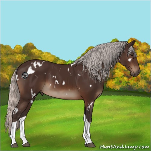 Horse Color:White Spotted Silver Brown Tobiano 