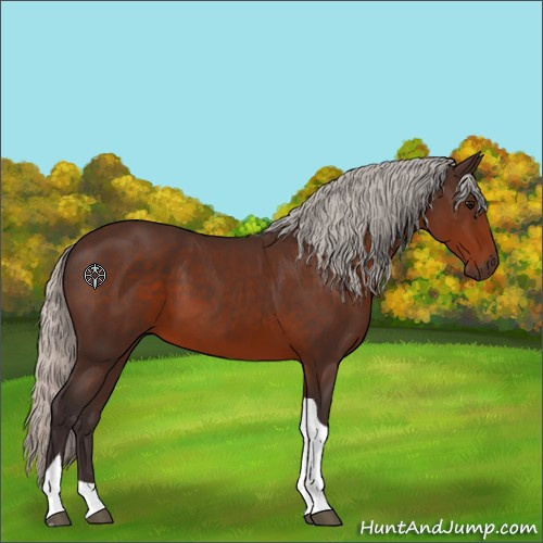 Horse Color:Silver Brown Tobiano 