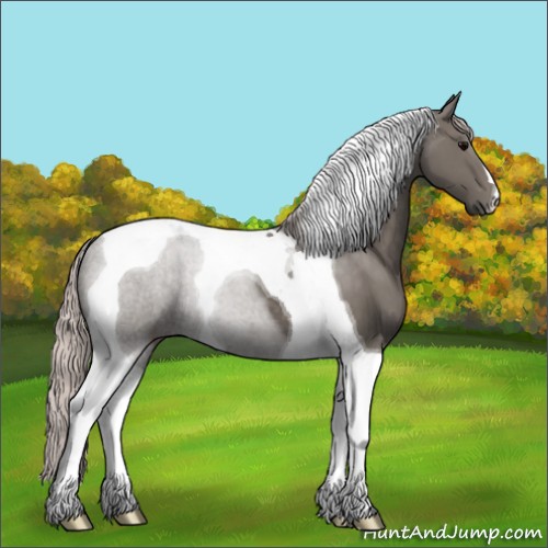 Horse Color:Silver Black Tobiano