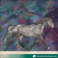 Horse Color:Silver Smoky Black Rabicano