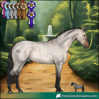 Horse Color:Brown Roan Dun Rabicano 