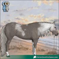 Horse Color:Silver Black Tobiano 