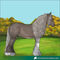 Horse Color:Silver Black Tobiano Rabicano 