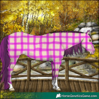 Horse Color:Plaid  Amber Champagne Dun 