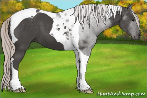 Horse Color:Silver Black Tobiano