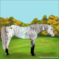 Horse Color:Silver Black Ice Splash Tobiano 