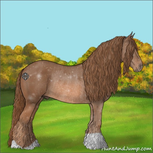 Horse Color:Chestnut Rabicano 