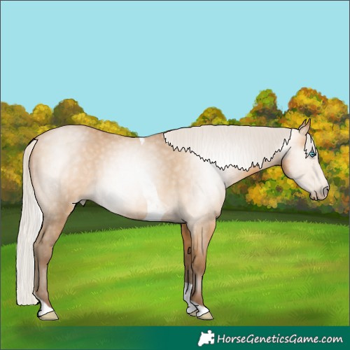 Horse Color:Gray Silver Buckskin Pearl Tobiano 