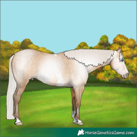 Horse Color:Gray Silver Buckskin Pearl Tobiano
