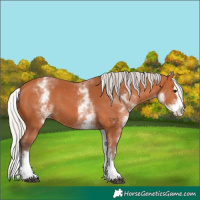 Horse Color:White Spotted Silver Bay Splash 