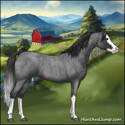 Horse Color:Blue Roan Splash 