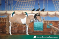 Horse Color:Black Pearl Tobiano 