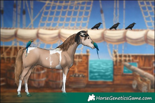 Horse Color:Black Pearl Sabino Tobiano