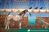 Horse Color:Black Pearl Sabino Tobiano
