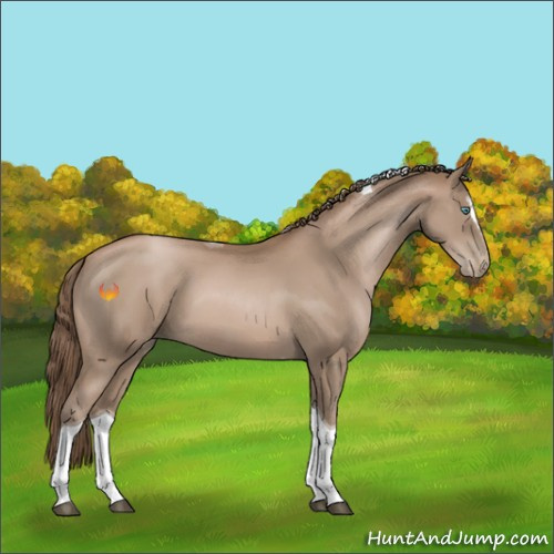 Horse Color:Black Pearl Sabino Tobiano 