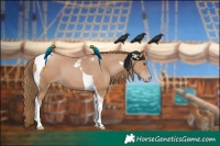 Horse Color:Black Pearl Tobiano 