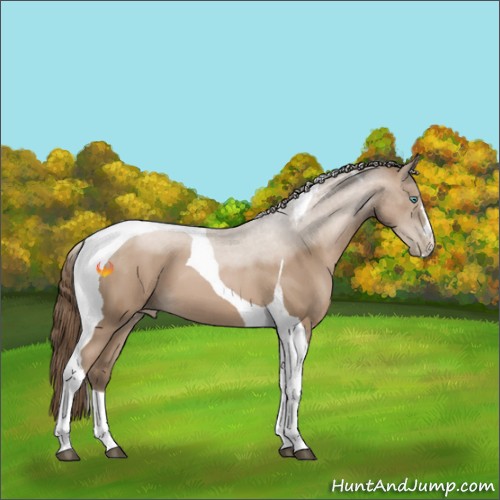 Horse Color:Black Pearl Tobiano 