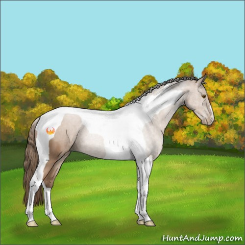 Horse Color:Black Pearl Tobiano 
