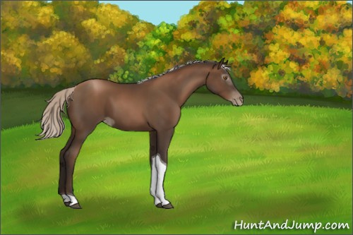 Horse Color:Gray Silver Black Pearl Tobiano 