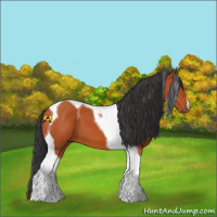 Horse Color:Bay Tobiano 