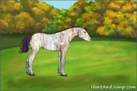 Horse Color:Painted Bay Ice 