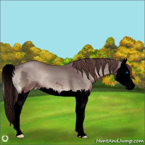 Horse Color:Void Chocolate Blue Onyx Ice Sabino Splash 