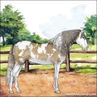 Horse Color:White Spotted Silver Smoky Grullo Splash 