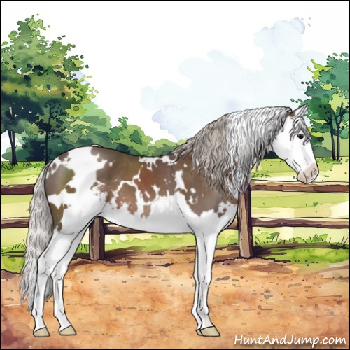 Horse Color:White Spotted Silver Black Sabino Splash 