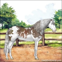 Horse Color:White Spotted Silver Black Sabino Splash