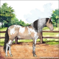 Horse Color:White Spotted Sable Champagne 