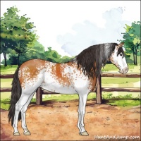Horse Color:White Spotted Buckskin Sabino 