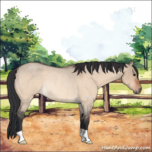 Horse Color:Bay Roan Dun Rabicano 