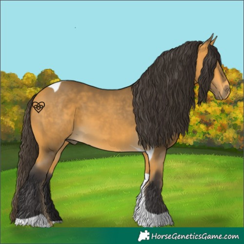 Horse Color:Buckskin Tobiano 