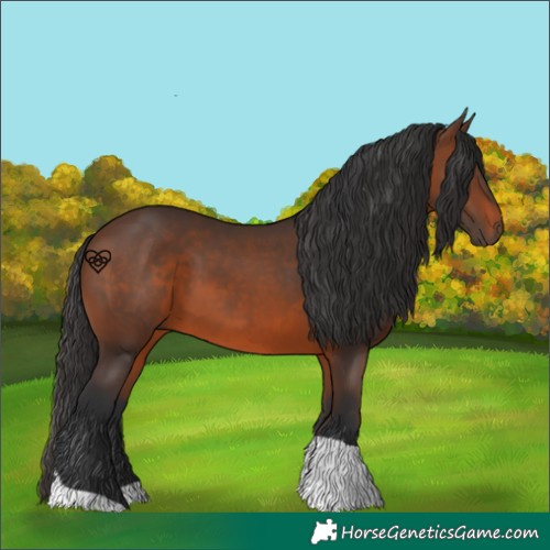 Horse Color:Brown Tobiano 