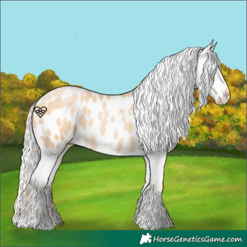 Horse Color:Silver Buckskin Pearl Blanket 