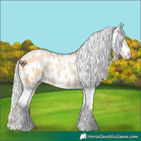 Horse Color:Silver Buckskin Pearl Blanket 